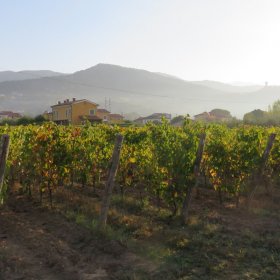 Via Francigena 2018 ohne private Fotos