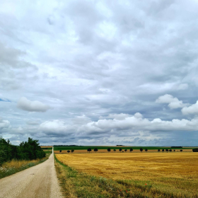 VF 24 oeffentliche Fotos