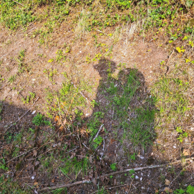 VF 24 oeffentliche Fotos