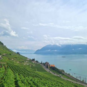 VF 24 oeffentliche Fotos