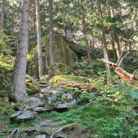 VF 24 oeffentliche Fotos