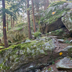 VF 24 oeffentliche Fotos