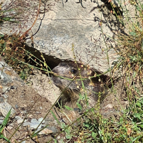 VF 24 oeffentliche Fotos