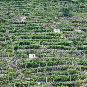 VF 24 oeffentliche Fotos