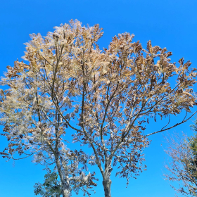 VF 24 oeffentliche Fotos