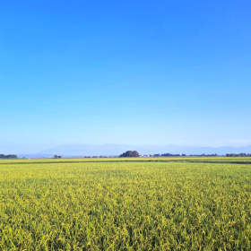 VF 24 oeffentliche Fotos