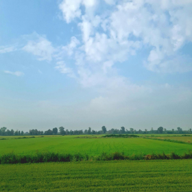 VF 24 oeffentliche Fotos