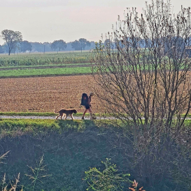 VF 24 oeffentliche Fotos