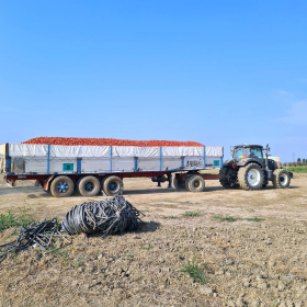 VF 24 oeffentliche Fotos