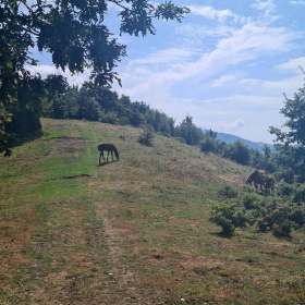 VF 24 oeffentliche Fotos