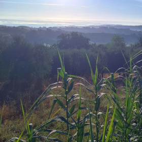 VF 24 oeffentliche Fotos