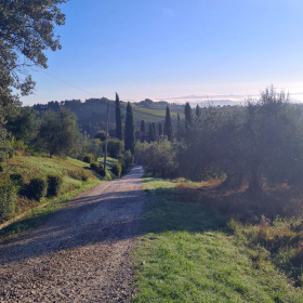 VF 24 oeffentliche Fotos