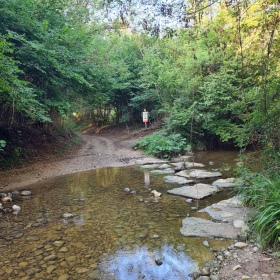 VF 24 oeffentliche Fotos