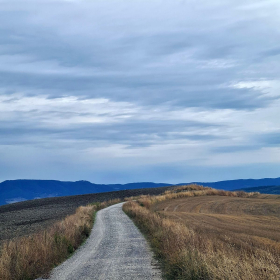 VF 24 oeffentliche Fotos